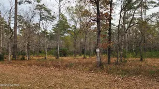 112 1 Sandy Point Drive, Beaufort, NC 28516 – photo 24: 20251204_125146