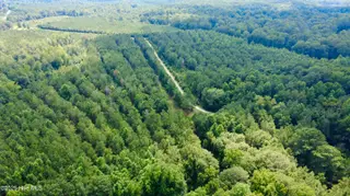 0 Sr 1192, Blounts Creek, NC 27814 – photo 10: DJI_0839