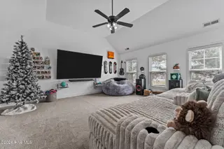 118 Sandy Springs Road, Aberdeen, NC 28315 – photo 17: Media/ theater Room