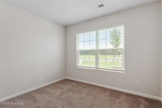 9120 Ava Drive, Bailey, NC 27807 – photo 17: Southeast_Blanco_L_019