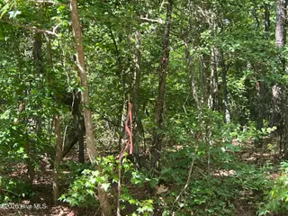 747 78 Sandspur Drive, Vass, NC 28394 – photo 1: IMG_5390