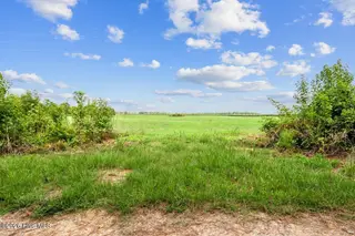 Lot 1 Waller Road, Mount Olive, NC 28365 – photo 13: 294 Waller Rd-3