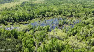 Off Speights Chapel Road, Whitakers, NC 27891 – photo 15: DJI_0584
