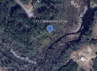 133 Cedarwood, Havelock, NC 28532 – photo 3: 133 Cedarwood Google Earth Pic