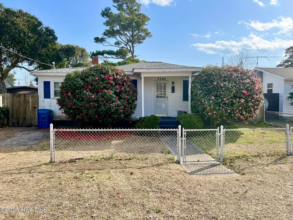 2205 Bay Street, Morehead City, NC 28557 – photo 1 of 45: Camelias in bloom