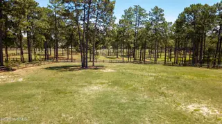 769 Youngs Road, Vass, NC 28394 – photo 5: 769 Youngs Drone-22