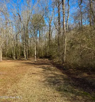 0 Fred Circle S, Kenly, NC 27542 – photo 19: Photo Jan 25 2025, 2 18 27 PM