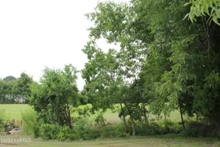 4507 Rivershore Drive, New Bern, NC 28560 – photo 18: pasture 3 view 3