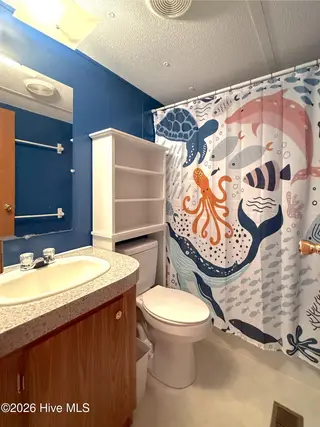 780 Hollis Drive, Blounts Creek, NC 27814 – photo 14: RealtyCam Photo 41