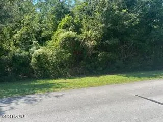 5705 425 Gondolier Drive, New Bern, NC 28560 – photo 1 of 23: IMG_0848