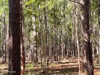 239 98 Garbacon Drive, Beaufort, NC 28516 – photo 19: IMG_4450 Large