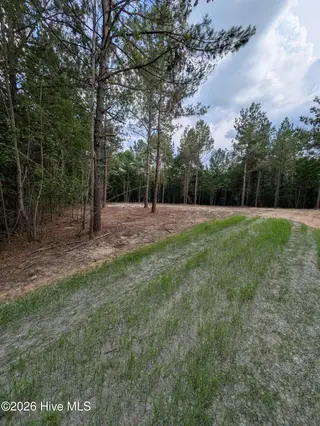 Tbd 2R-3 Peyton Drive, Eagle Springs, NC 27242 – photo 3: PXL_20260707_210647504