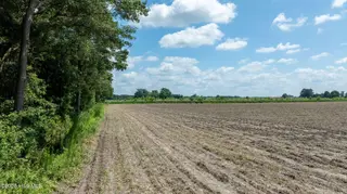 000 Oberry Road, Dudley, NC 28333 – photo 16: 0OberryRd-DudleyNC-16