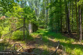 674 State Road 1415, Greenville, NC 27834 – photo 8: 674 State Road 1415 Greenville NC