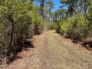150 Styron Creek Road, Sea Level, NC 28577 – photo 1: 1_beyc69fbc480c616d