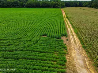 000 S Nc 581 Highway, Bailey, NC 27807 – photo 7: DJI_0208_pro