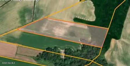 Parcel 4 Thunder Swamp Road, Mount Olive, NC 28365 – photo 1 of 1: Screenshot 2025-11-18 at 12-59-54 Wayne