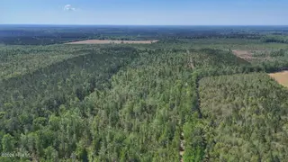 0 7 Guinea Mill Road, Ernul, NC 28527 – photo 11: 11