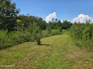 873 Pameter Road, Hallsboro, NC 28442 – photo 21: 51301