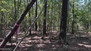 6033 Homestead Road, Elm City, NC 27822 — lot, Elm City, NC, photo 23 of 42: IMG_9321