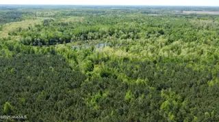 Off Speights Chapel Road, Whitakers, NC 27891 – photo 14: DJI_0583