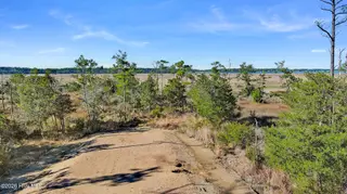 1217 Strange Court, Morehead City, NC 28557 – photo 20: Marsh Front Property in Country Club Run