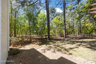 730 Thrush Drive, Vass, NC 28394 – photo 10: 48-web-or-mls-IMG_7468