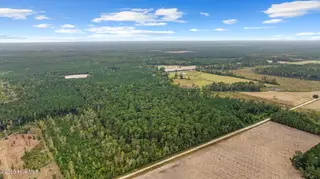 36ac Near 323 Indigo Flats Road W, Tabor City, NC 28463 – photo 7: 2-web-or-mls-Full2