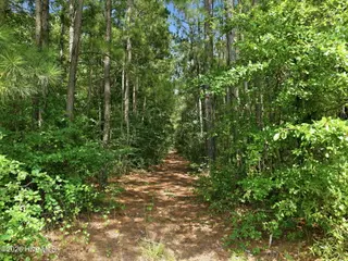 0 Saintsville Road, Greenville, NC 27834 – photo 14: 13-web-or-mls-DJI_20260729150255_0038_D