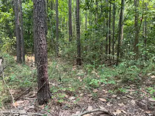 1185 1 Green Springs Road, New Bern, NC 28560 – photo 3: interior lot
