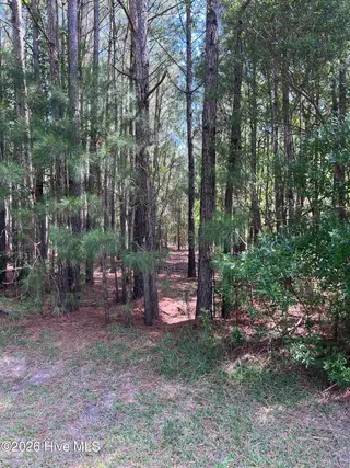 42 Windy Point, Belhaven, NC 27810 – photo 5: IMG_5854
