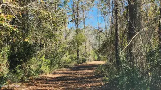129 38 Cummins Creek Road, Beaufort, NC 28516 – photo 9: 20250120_130710