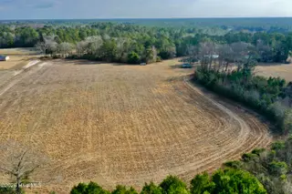 0 Near 4635 Hallsboro Road N, Clarkton, NC 28433 – photo 2: CPS 2