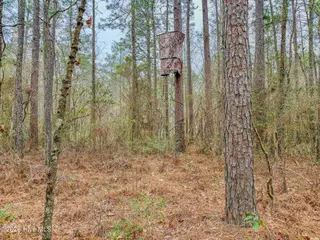 0 Lobelia Road, Vass, NC 28394 – photo 22: 23