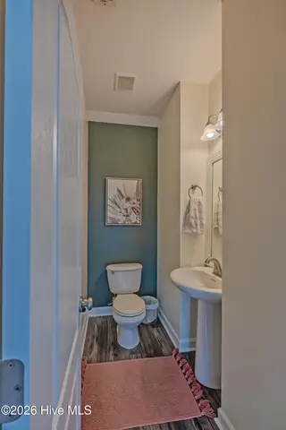 1007 Meridian Drive, Sneads Ferry, NC 28460 – photo 17: _K6A0384-HDR (Custom)
