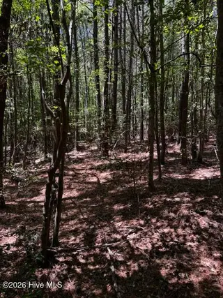 Lot 1 Dan Road, Robbins, NC 27325 – photo 17: 16