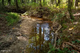 Tbd Dunhams Creek Lane, Carthage, NC 28327 — lot, Carthage, NC, photo 21 of 22