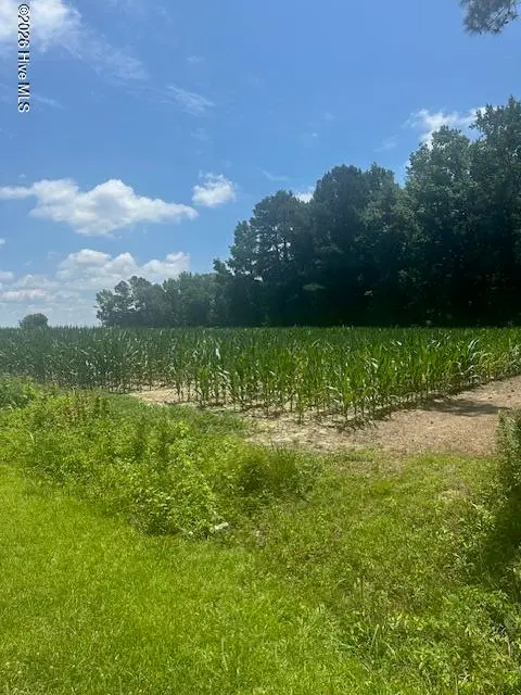 Near 721 Joe Piver Road, Chadbourn, NC 28431 – photo 1 of 18: land