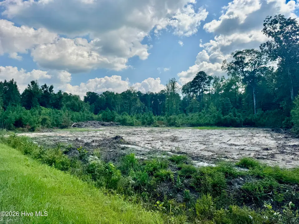0 Near 436 Near 436 Giles Byrd Road, Hallsboro, NC 28442 – photo 1 of 2: Main Photo
