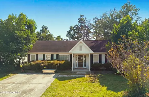 821 Bay Blossom Dr, Wilmington