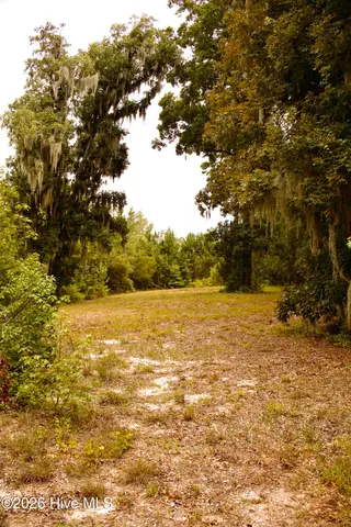 385 Sand Ridge Road, New Bern, NC 28560 – photo 17: IMG_4503