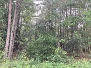 Lot # 33 33 33 Pine Crest Road, Bath, NC 27808 – photo 2: IMG_8540