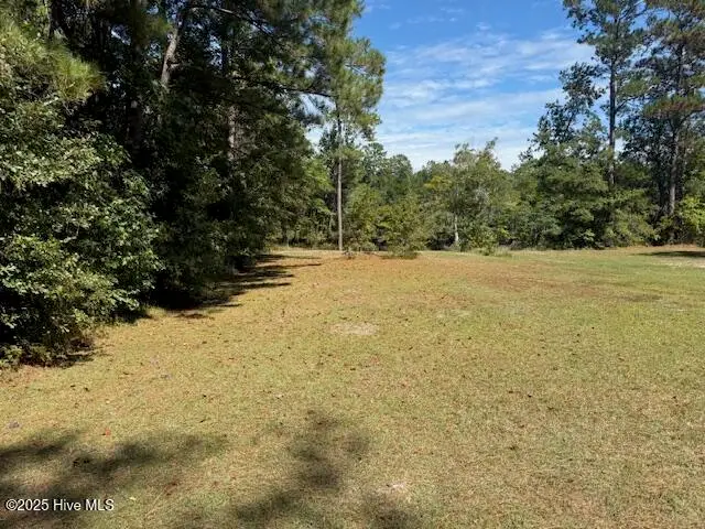 1067 River Road, Tabor City, NC 28463 – photo 1 of 9: IMG_3723