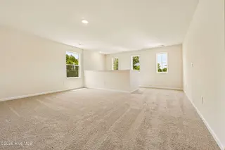 100 Franklin Landing, Pikeville, NC 27863 – photo 22: 21-web-or-mls-Franklin Lndg Dr-S1707-021