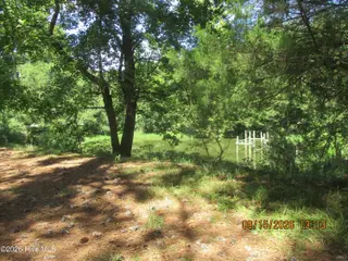 7625 Wheat Swamp Road, Lucama, NC 27851 – photo 8: 7625 Wheat Swamp yard1-1
