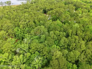 335 Pamlico River Drive, Washington, NC 27889 – photo 6: 5-web-or-mls-DJI_20260501100406_0034_D-E