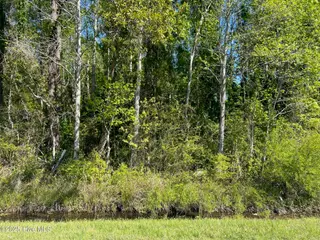 770 Laurel Road, Beaufort, NC 28516 – photo 4: IMG_3100