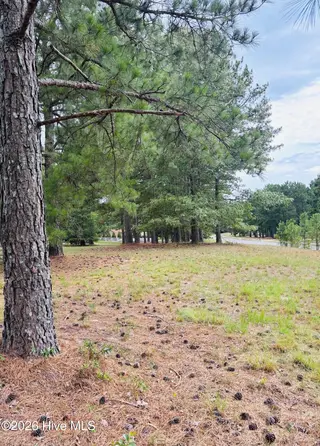 740 338 Broken Ridge Trail, West End, NC 27376 – photo 3: 338 from left side