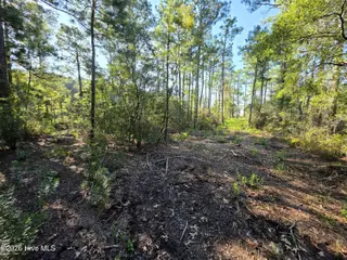 Carolina Shores, Bath – photo 11: 1000032914