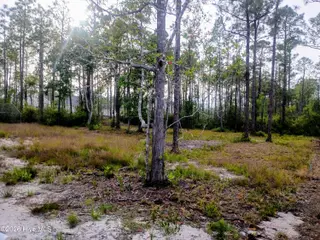 349 Fifty Lakes Drive, Southport, NC 28461 – photo 8: 349 Fifty 6